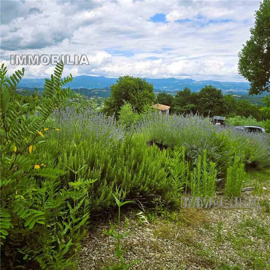 Rustico/Casale in vendita a Monterchi - foto 5