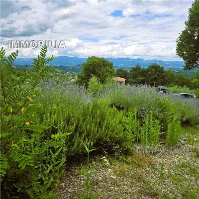 Rustico/Casale in vendita a Monterchi - foto 5