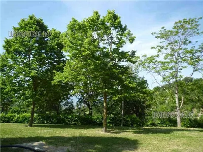 Villa in vendita a San Giustino - foto 9