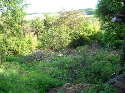 Villa in vendita a Sala Monferrato - foto 6