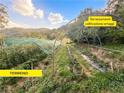 Rustico/Casale in vendita a Foresto Sparso - foto 6
