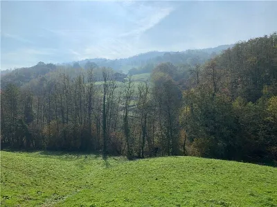 Rustico/Casale in vendita a Adrara San Mar... - foto 7