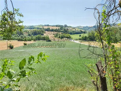 Rustico/Casale in vendita a Ponzano di Fer... - foto 2