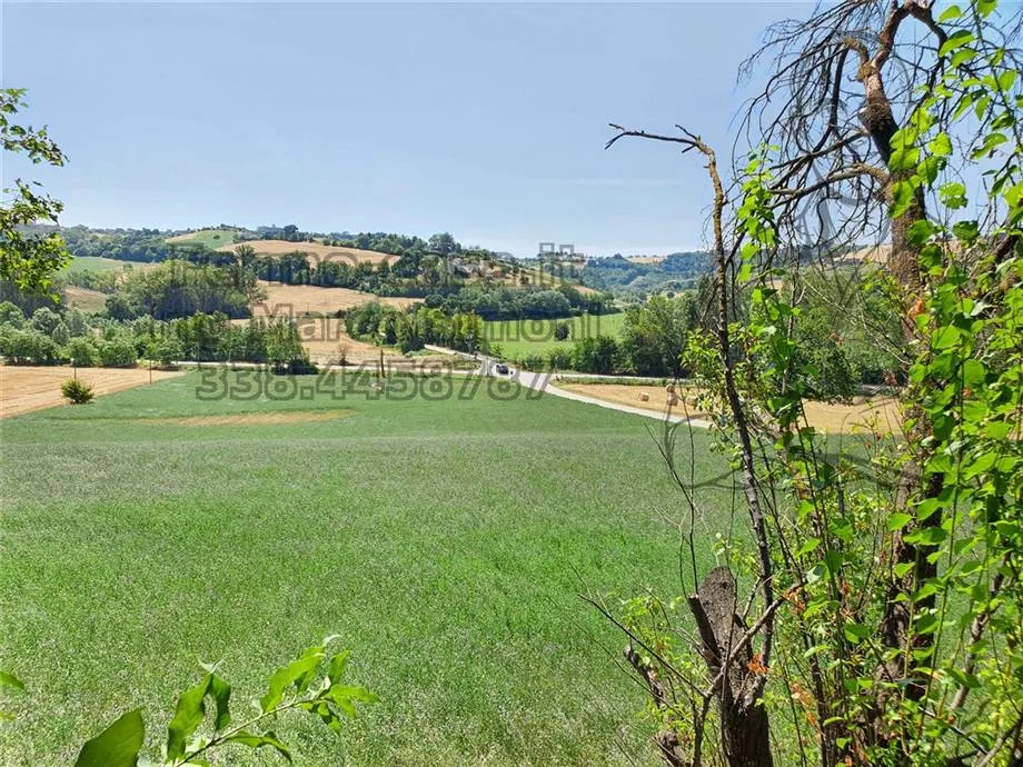 Rustico/Casale in vendita a Ponzano di Fermo - foto 3