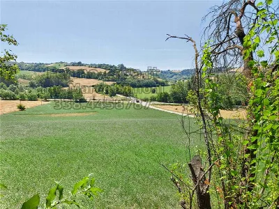 Rustico/Casale in vendita a Ponzano di Fer... - foto 3