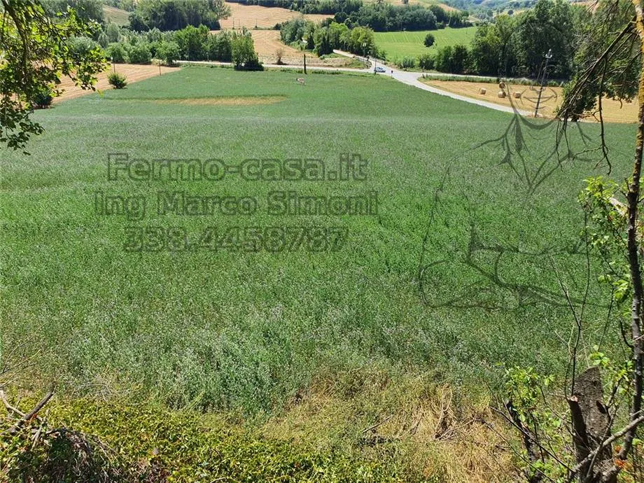 Rustico/Casale in vendita a Ponzano di Fermo - foto 4