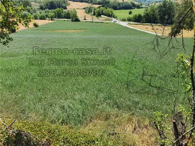 Rustico/Casale in vendita a Ponzano di Fer... - foto 4