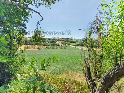 Rustico/Casale in vendita a Ponzano di Fer... - foto 5