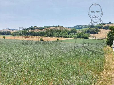 Rustico/Casale in vendita a Ponzano di Fer... - foto 8