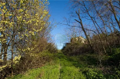 Rustico/Casale in vendita a Porto San Gior... - foto 6