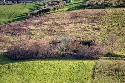 Rustico/Casale in vendita a Porto San Gior... - foto 7
