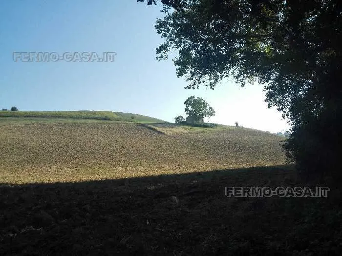 Rustico/Casale in vendita a Fermo - foto 3