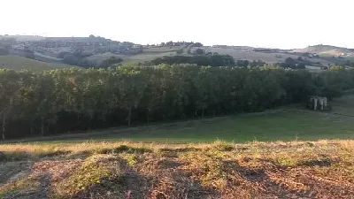 Rustico/Casale in vendita a Fermo - foto 4