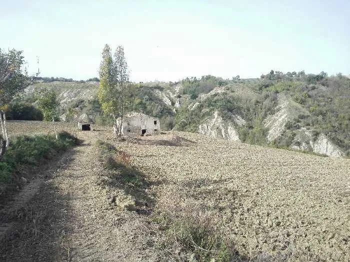 Rustico/Casale in vendita a Monterubbiano - foto 3
