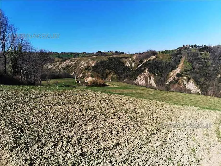 Rustico/Casale in vendita a Monterubbiano - foto 4