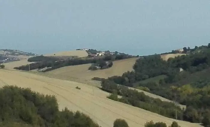 Rustico/Casale in vendita a Monterubbiano - foto 5