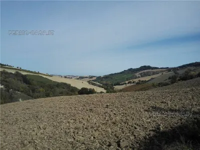 Rustico/Casale in vendita a Monterubbiano - foto 8