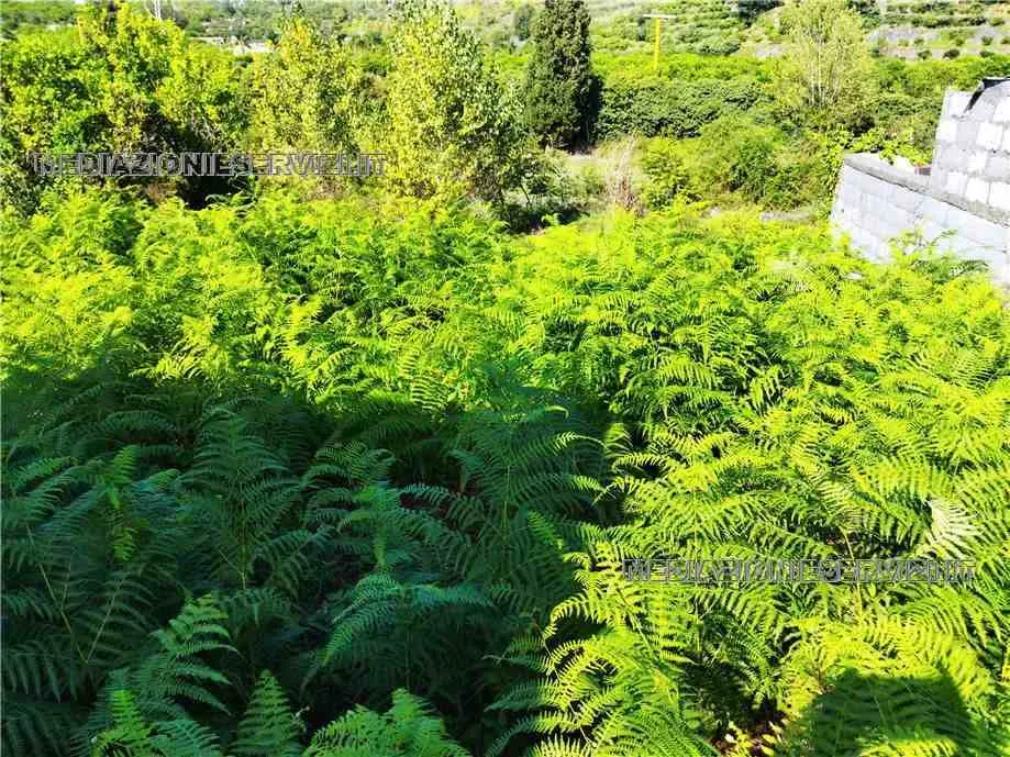 Rustico/Casale in vendita a Giarre - foto 5