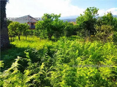 Rustico/Casale in vendita a Giarre - foto 6