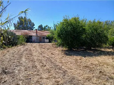 Villa in vendita a Arborea - foto 1