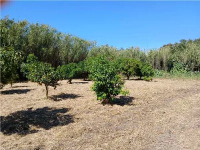 Villa in vendita a Arborea - foto 2