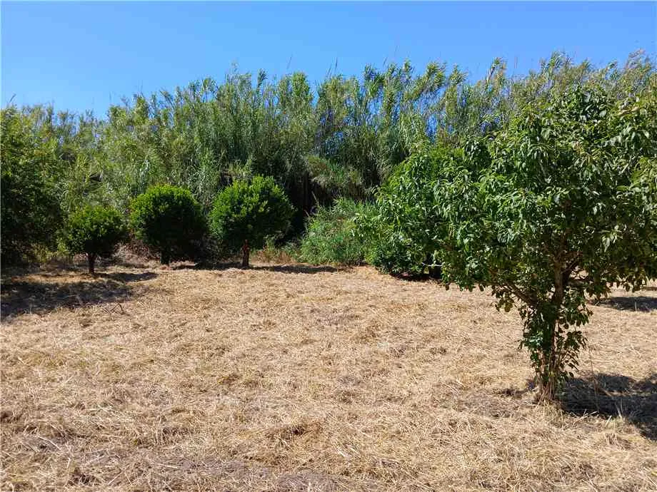 Villa in vendita ad Arborea - foto 3