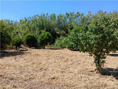 Villa in vendita a Arborea - foto 3
