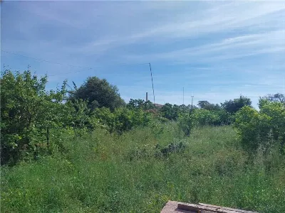 Rustico/Casale in vendita a Oristano - foto 9