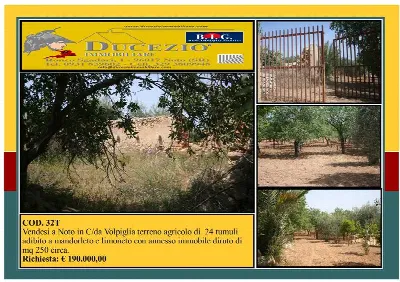 Rustico/Casale in vendita a Noto - foto 1