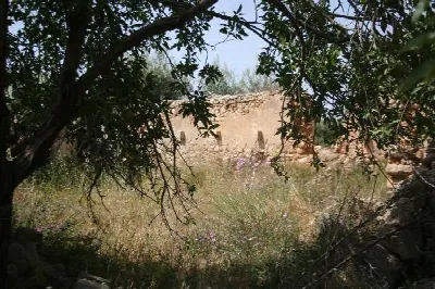Rustico/Casale in vendita a Noto - foto 3