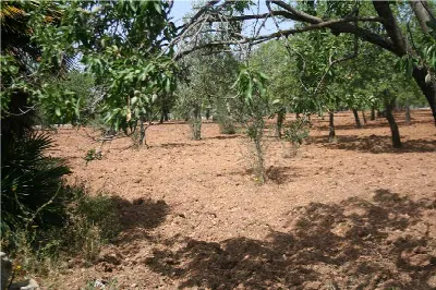 Rustico/Casale in vendita a Noto - foto 8