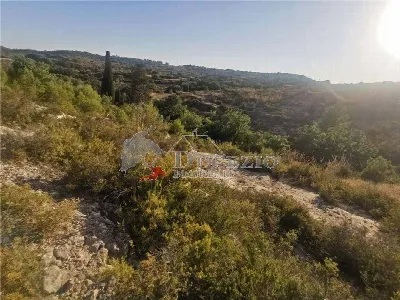 Rustico/Casale in vendita a Noto - foto 7