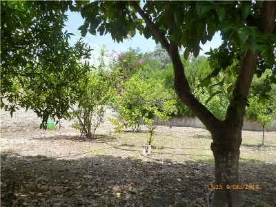 Villa in vendita a Siracusa, Fanusa, terra... - foto 7