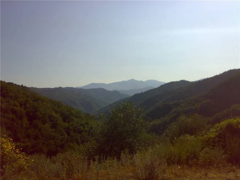 Rustico/Casale in vendita a Bajardo - foto 4