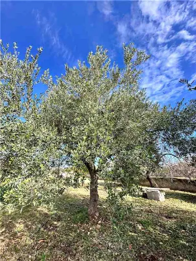 Villa in vendita a Noto - foto 4