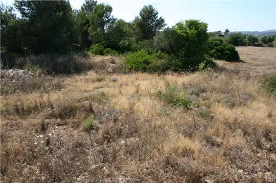 Villa in vendita a Noto - foto 9