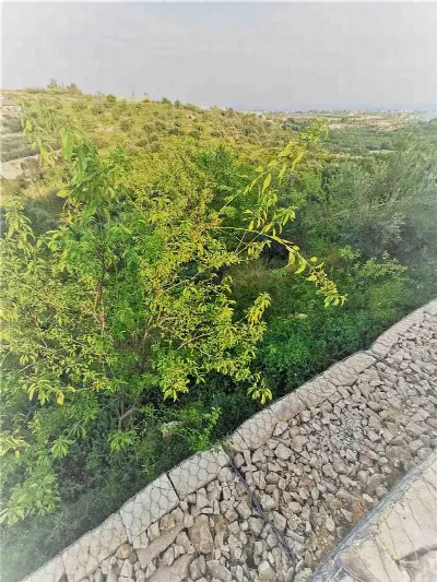 Villa in vendita a Noto - foto 8