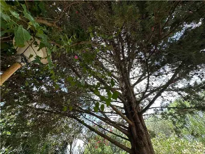 Villa in vendita a Noto - foto 4