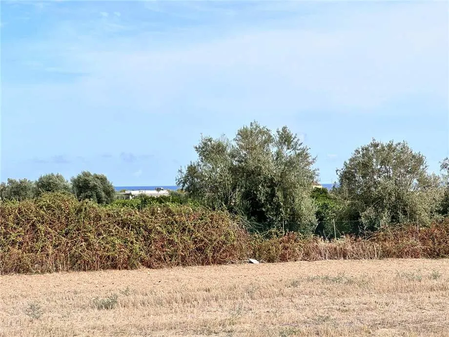 Rustico/Casale in vendita a Noto - foto 5