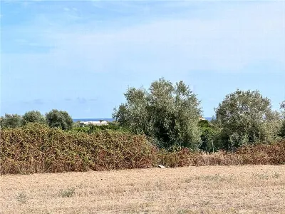 Rustico/Casale in vendita a Noto - foto 5