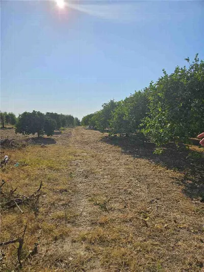Villa in vendita a Noto - foto 10