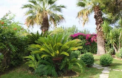 Villa in vendita a Siracusa, Arenella, ogn... - foto 4