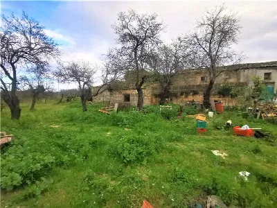 Rustico/Casale in vendita a Noto - foto 10
