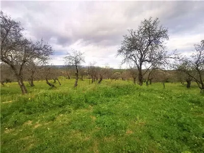 Rustico/Casale in vendita a Noto - foto 5