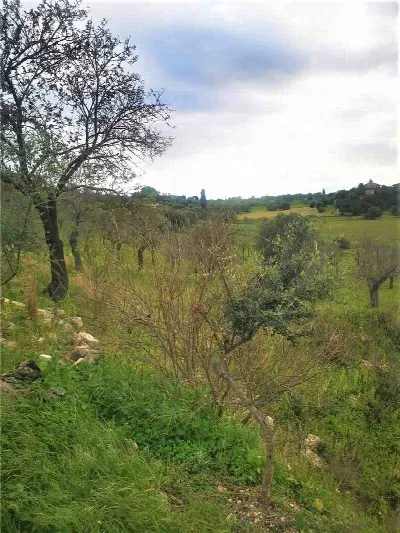 Rustico/Casale in vendita a Noto - foto 8