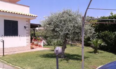 Villa in vendita a Noto - foto 3