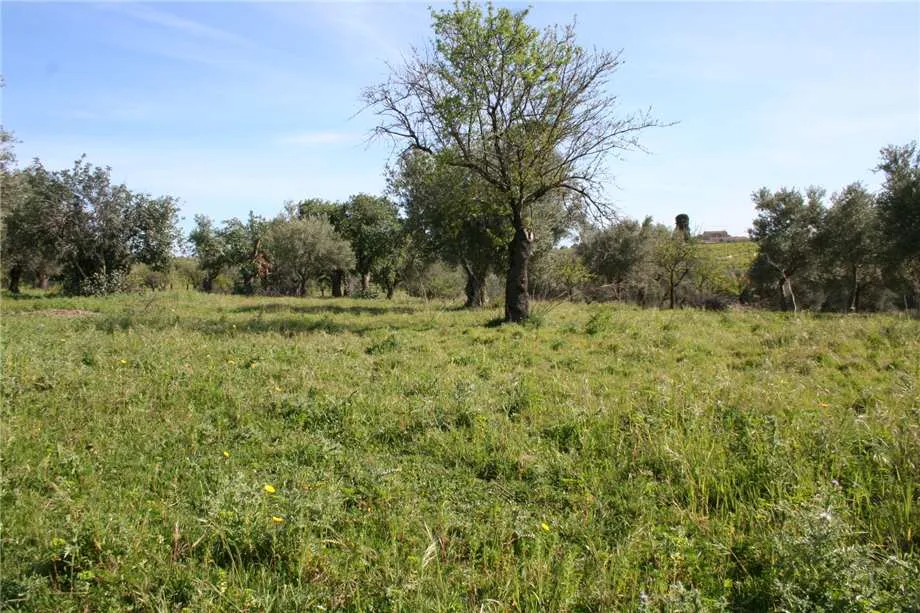 Rustico/Casale in vendita a Noto - foto 5