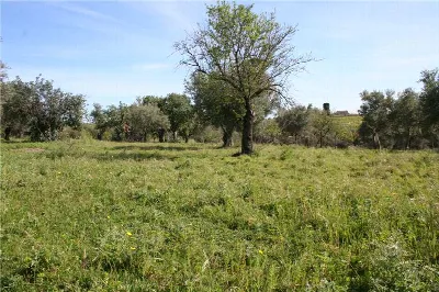 Rustico/Casale in vendita a Noto - foto 5