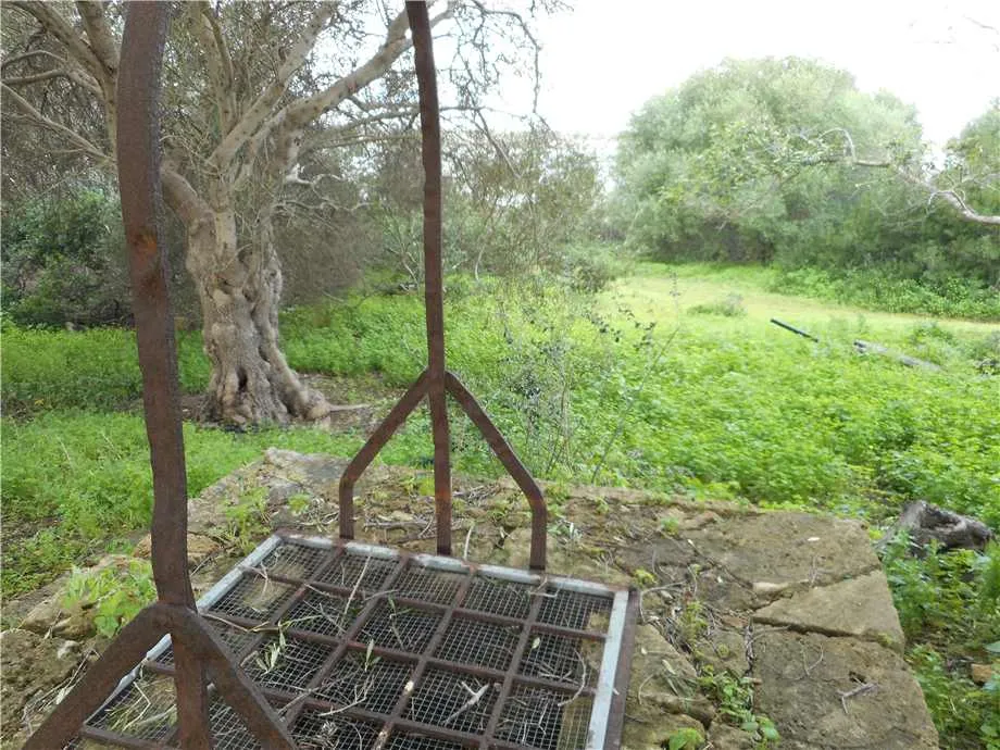 Rustico/Casale in vendita a Noto - foto 3