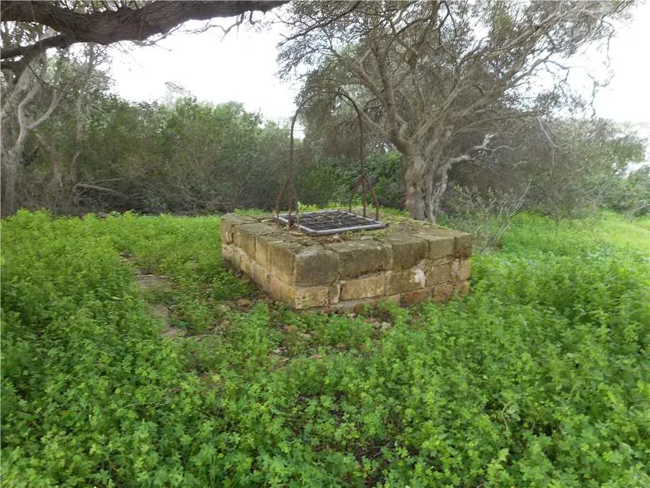Rustico/Casale in vendita a Noto - foto 4
